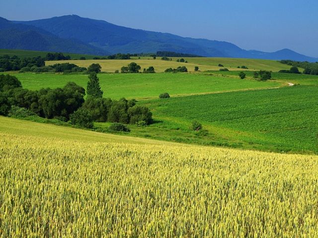 Zdjęcia: Tatry Niżne, pejzaż..., SłOWACJA Zdjęcia: Tatry Niżne, pejzaż..., SłOWACJA