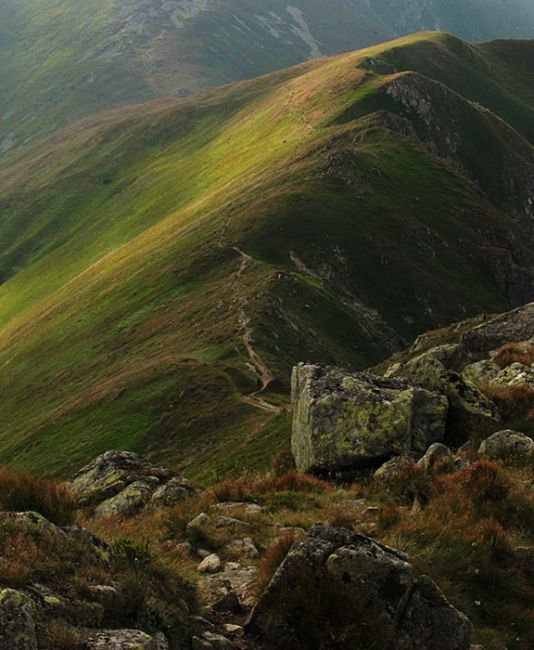 Zdjęcia: Tatry Niżne, na grani..., SłOWACJA Zdjęcia: Tatry Niżne, na grani..., SłOWACJA