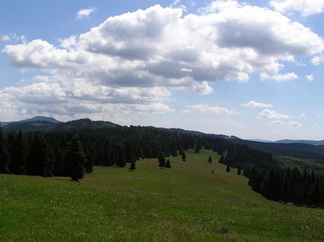 Zdjęcia: Tatry Niżne, pejzaż...cd., SłOWACJA Zdjęcia: Tatry Niżne, pejzaż...cd., SłOWACJA