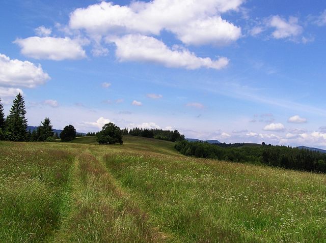 Zdjęcia: Tatry Niżne, pejzaż...cd., SłOWACJA Zdjęcia: Tatry Niżne, pejzaż...cd., SłOWACJA
