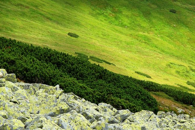 Zdjęcia: Tatry Niżne, złomy skalne ....., SłOWACJA Zdjęcia: Tatry Niżne, złomy skalne ....., SłOWACJA