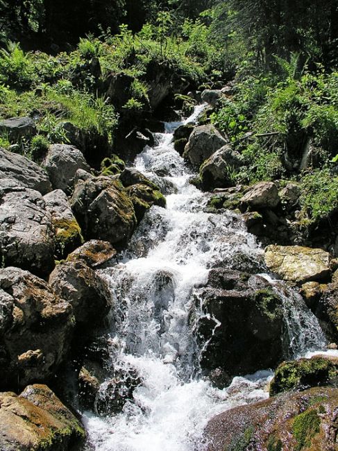 Zdjęcia: Tatry Niżne, górski potok..., SłOWACJA Zdjęcia: Tatry Niżne, górski potok..., SłOWACJA