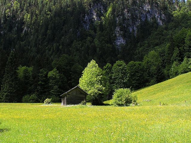 Zdjęcia: Tatry Niżne, szałas..., SłOWACJA Zdjęcia: Tatry Niżne, szałas..., SłOWACJA