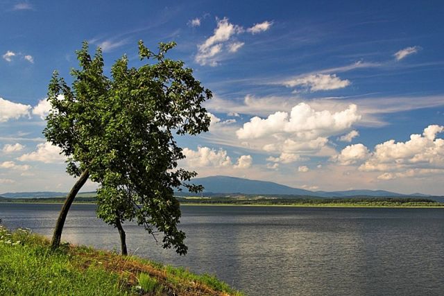 Zdjęcia: Jezioro orawskie, Orawa, Jabłoń......., SłOWACJA Zdjęcia: Jezioro orawskie, Orawa, Jabłoń......., SłOWACJA