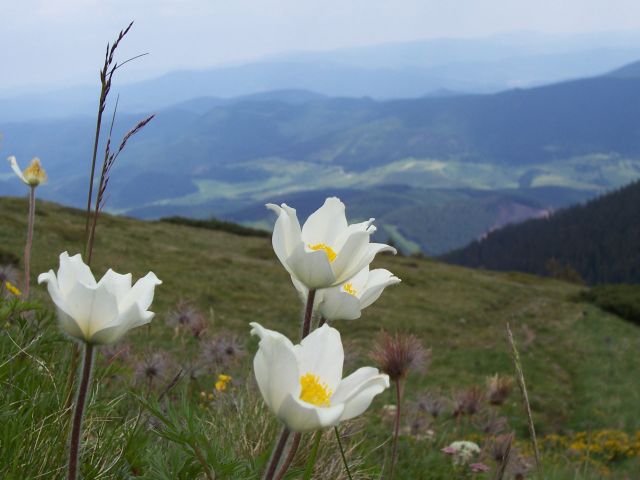 Zdjęcia: Kralova Hola, Tatry Niskie, KONKURS WIOSNA, SłOWACJA Zdjęcia: Kralova Hola, Tatry Niskie, KONKURS WIOSNA, SłOWACJA