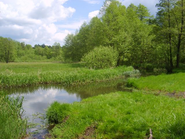 Zdjęcia: okolica, Żilina, wiosna 2009, SłOWACJA Zdjęcia: okolica, Żilina, wiosna 2009, SłOWACJA
