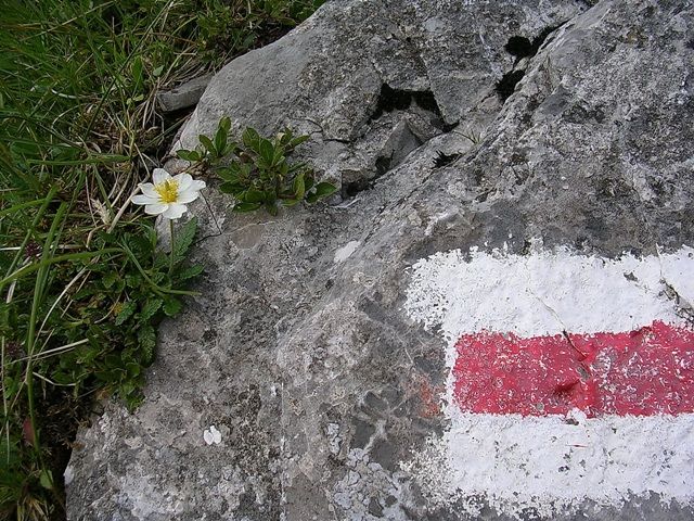 Zdjęcia: Tatry, Tatry, spotkanie na szlaku :-), SłOWACJA Zdjęcia: Tatry, Tatry, spotkanie na szlaku :-), SłOWACJA