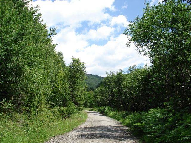 Zdjęcia: Park Narodowy Połoniny, Snin / Połoniny, Na szlaku, SłOWACJA Zdjęcia: Park Narodowy Połoniny, Snin / Połoniny, Na szlaku, SłOWACJA