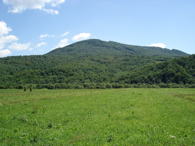 Zdjêcia: Park Narodowy Po³oniny, Snin / Po³oniny, Bieszczadzkie (s³owackie) krajobrazy, S³OWACJA Zdjêcia: Park Narodowy Po³oniny, Snin / Po³oniny, Bieszczadzkie (s³owackie) krajobrazy, S³OWACJA