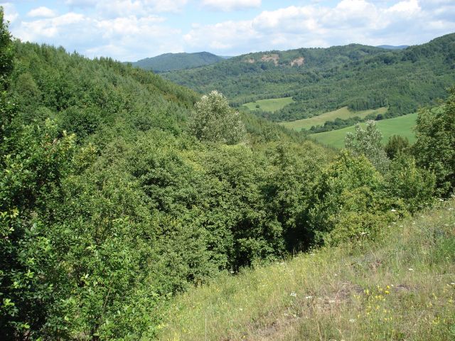 Zdjêcia: Park Narodowy Po³oniny, Snin / Po³oniny, S³owackie po³oniny, S³OWACJA Zdjêcia: Park Narodowy Po³oniny, Snin / Po³oniny, S³owackie po³oniny, S³OWACJA