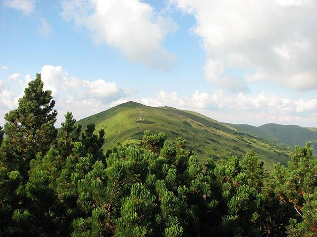 Zdjęcia: Tatry Niżne, Słowacja, Tatry Niżne, SłOWACJA Zdjęcia: Tatry Niżne, Słowacja, Tatry Niżne, SłOWACJA