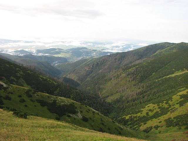 Zdjęcia: Tatry Niżne, Słowacja, Tatry Niżne, SłOWACJA Zdjęcia: Tatry Niżne, Słowacja, Tatry Niżne, SłOWACJA