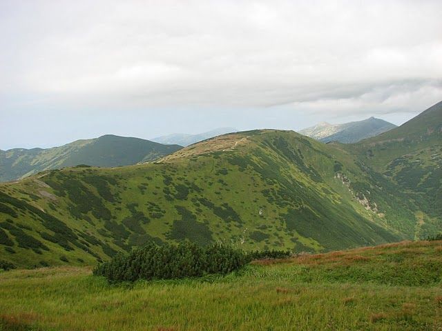 Zdjęcia: Tatry Niżne, Słowacja, Tatry Niżne, SłOWACJA Zdjęcia: Tatry Niżne, Słowacja, Tatry Niżne, SłOWACJA