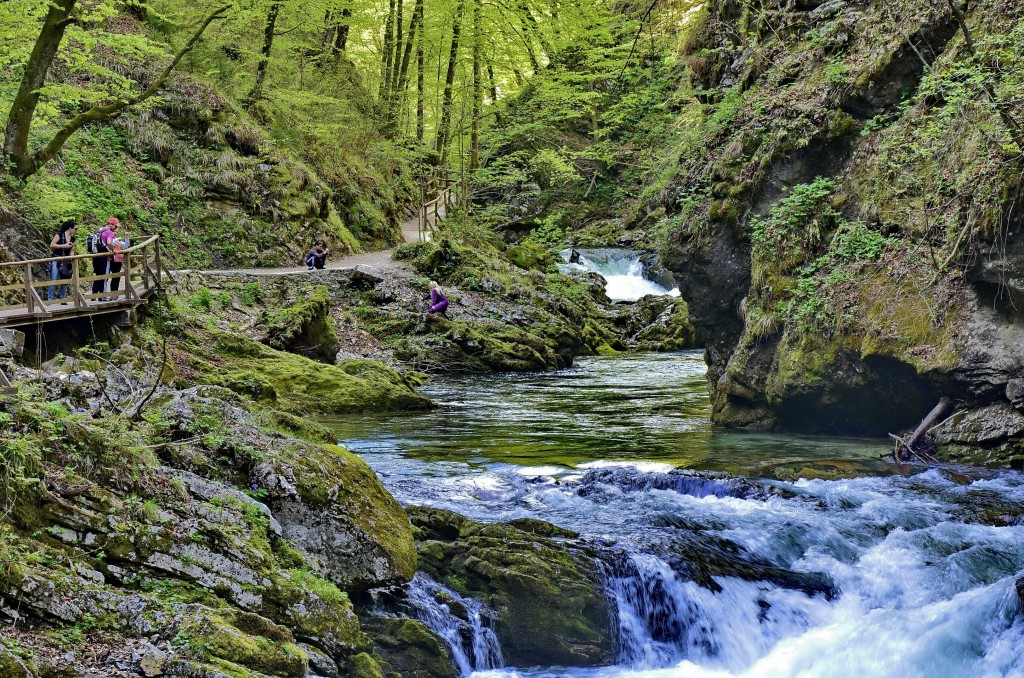 Zdjęcia: Bled, Carniola, Rwąca rzeka Vintgar, SłOWACJA Zdjęcia: Bled, Carniola, Rwąca rzeka Vintgar, SłOWACJA