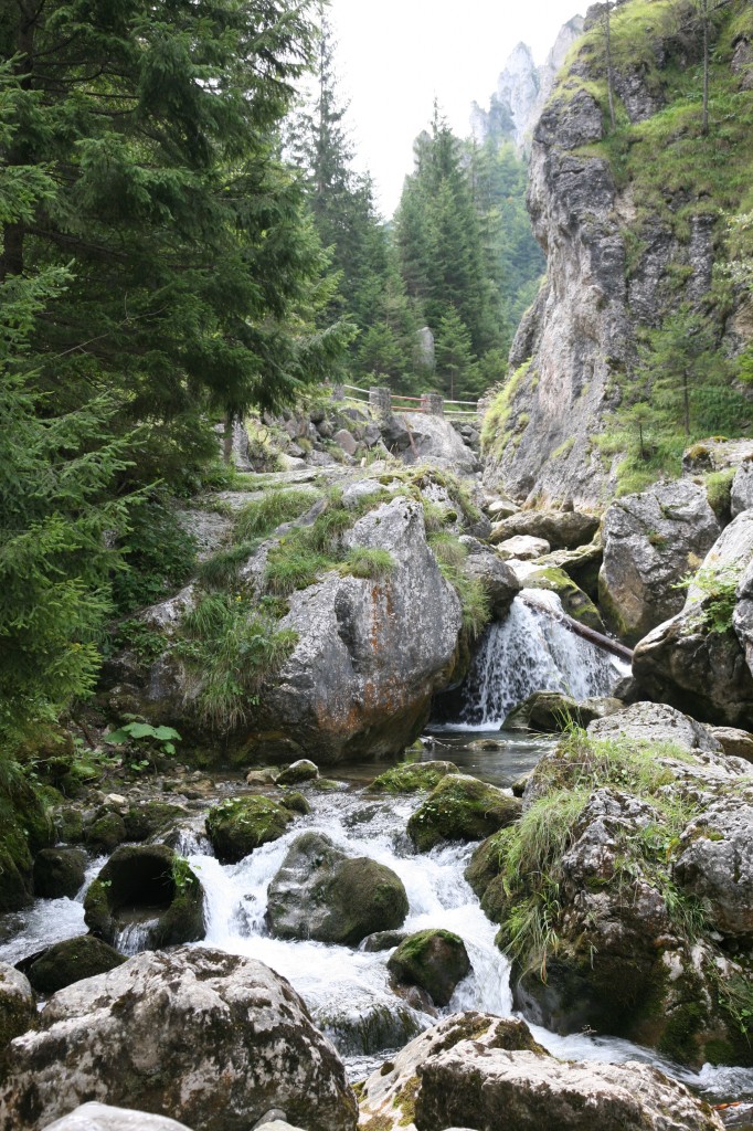 Zdjęcia: Mała Fatra (Malá Fatra) , Żilina, Potoczek, SłOWACJA Zdjęcia: Mała Fatra (Malá Fatra) , Żilina, Potoczek, SłOWACJA