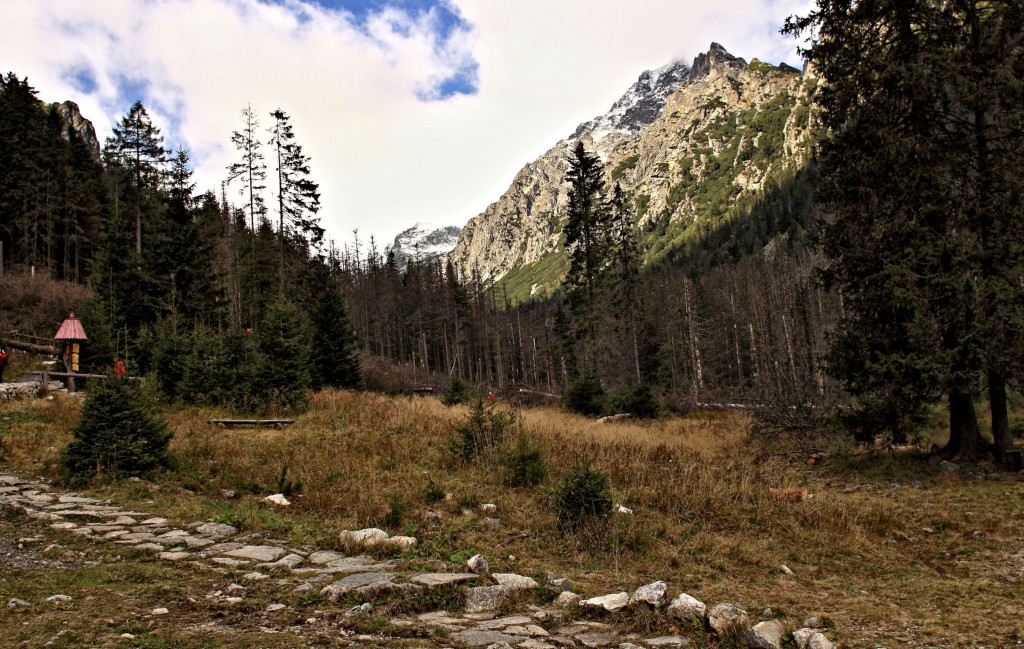 Zdjęcia: Dolinie Zimnej Wody., Słowackie Tatry  Wysokie., Ku Wodospadom Zimnego Potoku., SłOWACJA Zdjęcia: Dolinie Zimnej Wody., Słowackie Tatry  Wysokie., Ku Wodospadom Zimnego Potoku., SłOWACJA