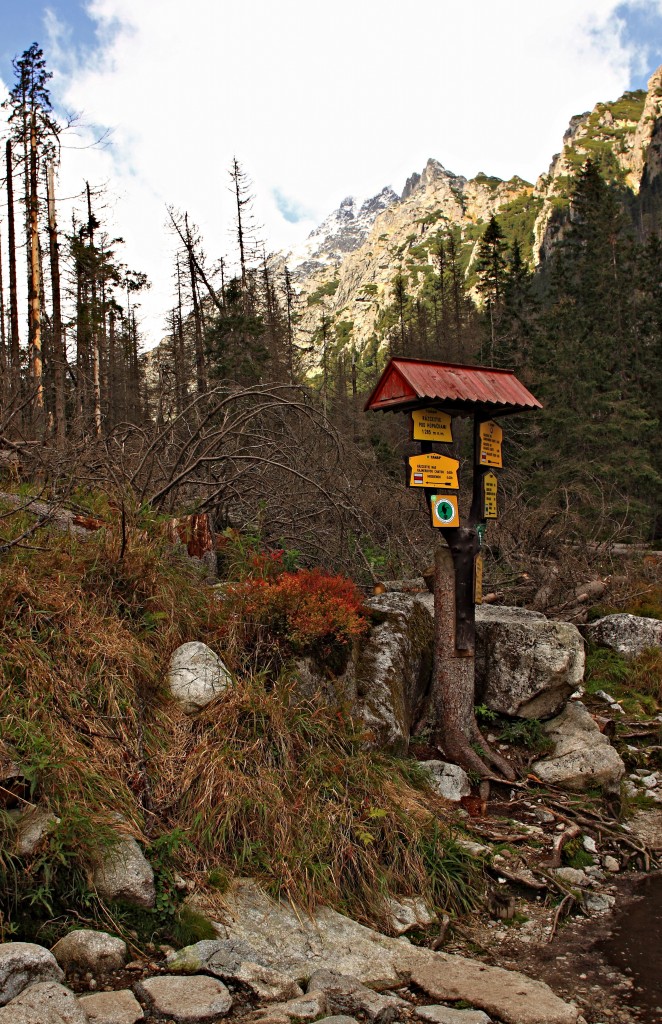 Zdjęcia: Dolina Małej Zimnej Wody., Słowackie Tatry Wysokie., Niebieskim szlakiem ku Wodospadom., SłOWACJA Zdjęcia: Dolina Małej Zimnej Wody., Słowackie Tatry Wysokie., Niebieskim szlakiem ku Wodospadom., SłOWACJA