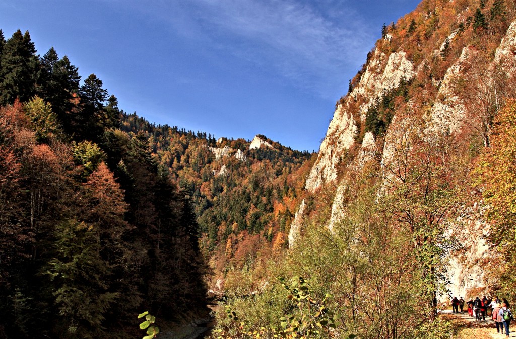 Zdjęcia: Pieniny, Sromowce Niżne, Przełomem Dunajca.-4, SłOWACJA Zdjęcia: Pieniny, Sromowce Niżne, Przełomem Dunajca.-4, SłOWACJA