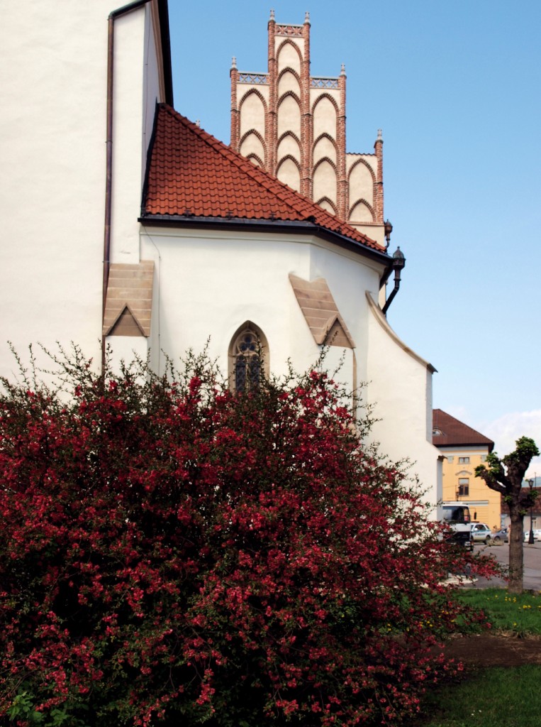 Zdjęcia: Levoca, Spis, Levoca, SłOWACJA Zdjęcia: Levoca, Spis, Levoca, SłOWACJA