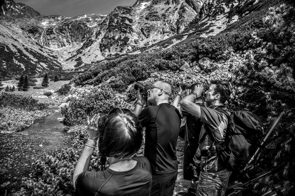 Zdjęcia: Dolina Małej Zimnej Wody, Tatry, Podróż w obiektywie, SłOWACJA Zdjęcia: Dolina Małej Zimnej Wody, Tatry, Podróż w obiektywie, SłOWACJA