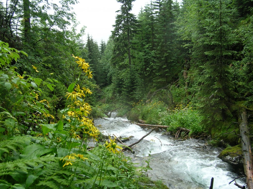 Zdjęcia: Tatry Zachodnie - Rohacze, Rohacki potok, SłOWACJA Zdjęcia: Tatry Zachodnie - Rohacze, Rohacki potok, SłOWACJA