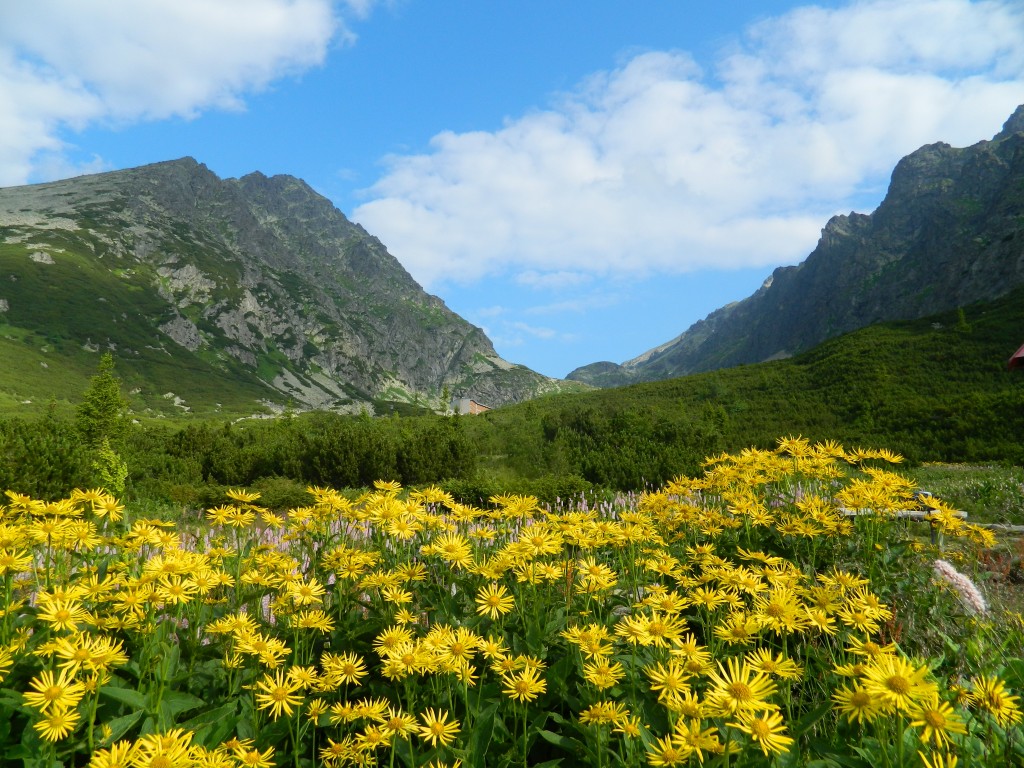 Zdjęcia: gdzieś na szlaku, tatry wysokie, Valicka Polana , SłOWACJA Zdjęcia: gdzieś na szlaku, tatry wysokie, Valicka Polana , SłOWACJA