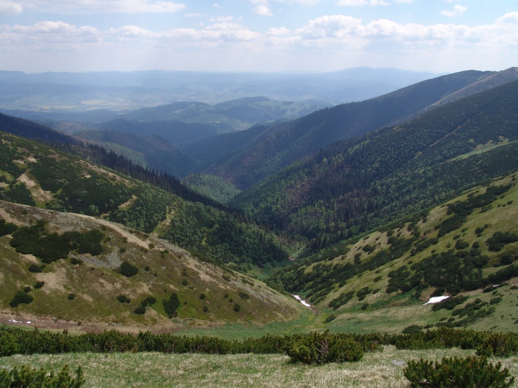 Zdjęcia: Niskie Tatry, Żilina, Do Demianowskiej Doliny, SłOWACJA Zdjęcia: Niskie Tatry, Żilina, Do Demianowskiej Doliny, SłOWACJA