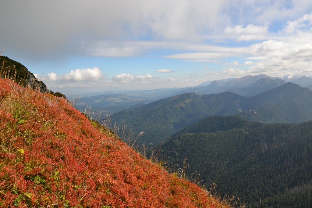 Zdjęcia: Tatry Zachodnie - Rohacze, Widok z Osobitej, SłOWACJA Zdjęcia: Tatry Zachodnie - Rohacze, Widok z Osobitej, SłOWACJA