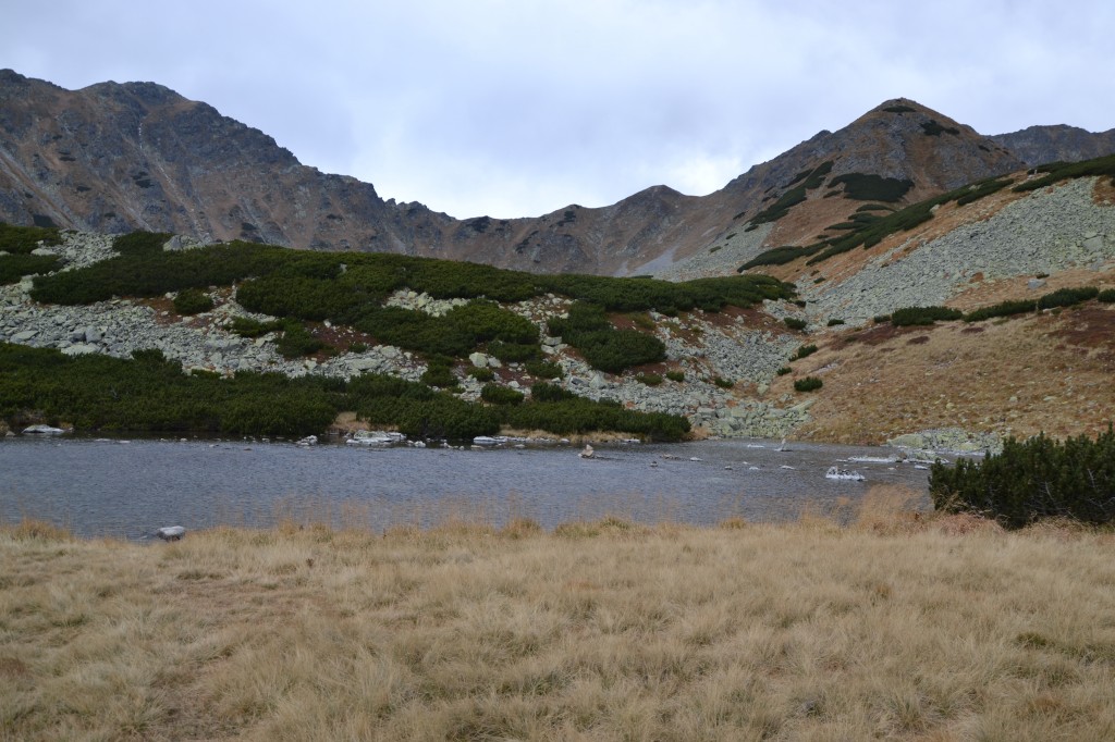 Zdjęcia: Bystra Dolina, Tatry Zachodnie, Bystre Stawy, SłOWACJA Zdjęcia: Bystra Dolina, Tatry Zachodnie, Bystre Stawy, SłOWACJA