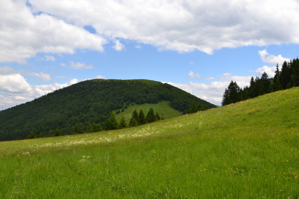 Zdjęcia: Sedlo Meziholie, Mała Fatra, Meziholie, SłOWACJA Zdjęcia: Sedlo Meziholie, Mała Fatra, Meziholie, SłOWACJA