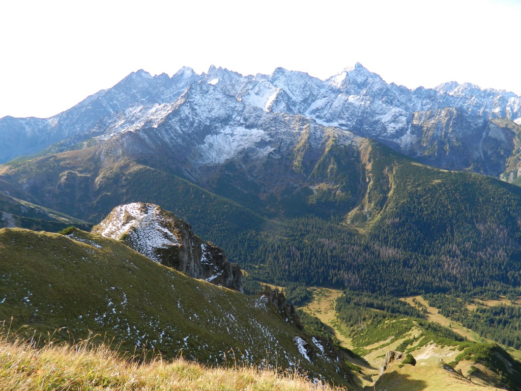 Zdjęcia: gdzieś na szlaku, Tatry Bielskie, w zasięgu tatry wysokie, SłOWACJA Zdjęcia: gdzieś na szlaku, Tatry Bielskie, w zasięgu tatry wysokie, SłOWACJA