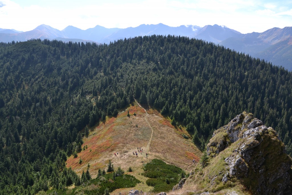 Zdjęcia: Osobita, Tatry Zachodnie, Przełęcz pod Osobitą, SłOWACJA Zdjęcia: Osobita, Tatry Zachodnie, Przełęcz pod Osobitą, SłOWACJA