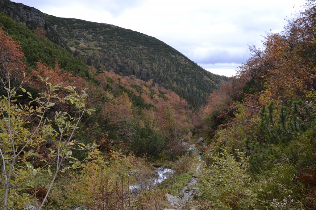 Zdjęcia: Dolina Bystra, Tatry Zachodnie, Bystra Dolina I, SłOWACJA Zdjęcia: Dolina Bystra, Tatry Zachodnie, Bystra Dolina I, SłOWACJA