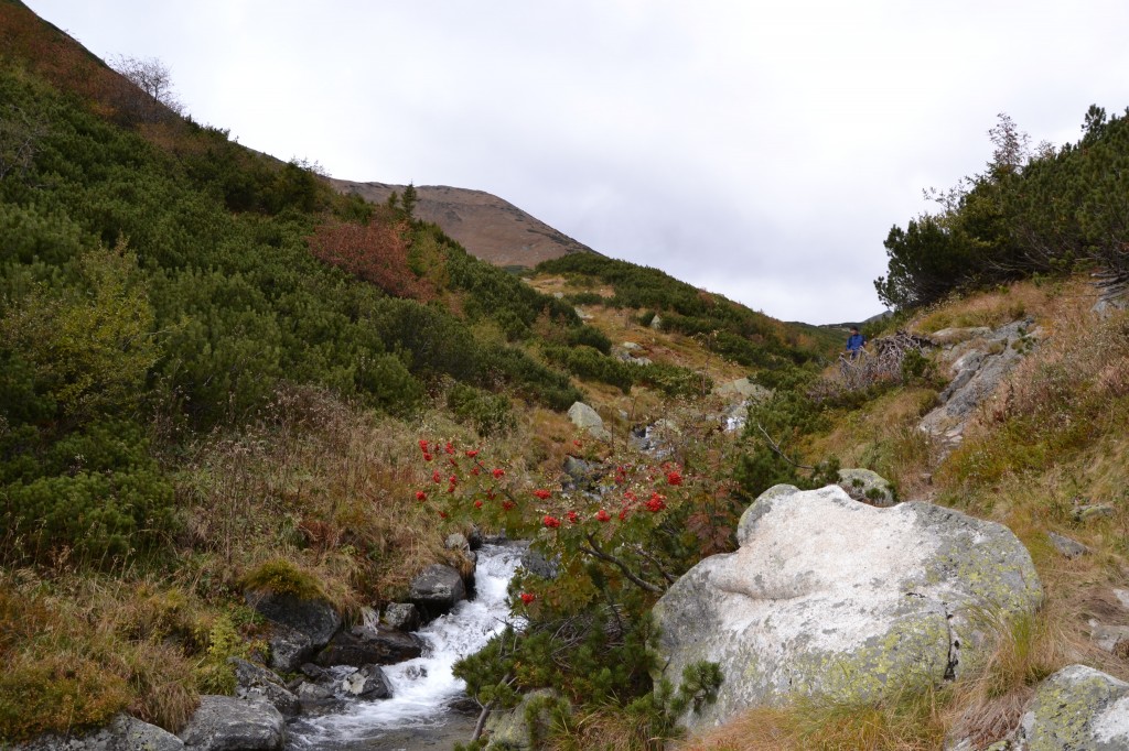 Zdjęcia: Dolina Bystra, Tatry Zachodnie, Bystra Dolina II, SłOWACJA Zdjęcia: Dolina Bystra, Tatry Zachodnie, Bystra Dolina II, SłOWACJA