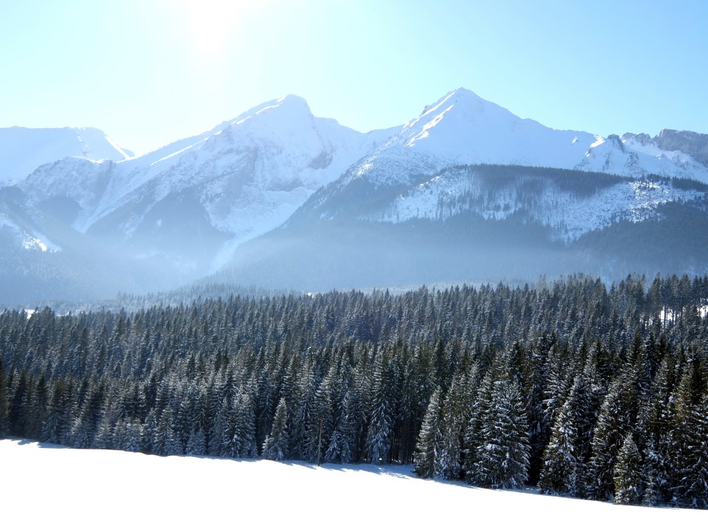 Zdjęcia: Łysa Polana, Tatry Vysokie, W drodze do Smokovca, SłOWACJA Zdjęcia: Łysa Polana, Tatry Vysokie, W drodze do Smokovca, SłOWACJA