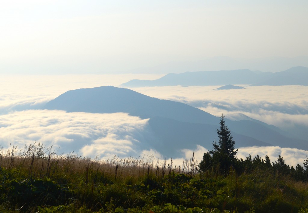 Zdjęcia: Chleb, Mała Fatra, Poranek w chmurach, SłOWACJA Zdjęcia: Chleb, Mała Fatra, Poranek w chmurach, SłOWACJA