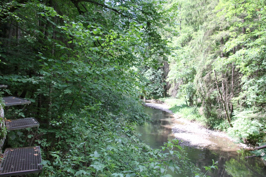 Zdjęcia: SŁOWACKI RAJ , PRESZÓW, PRZEŁOM HORNADU , SłOWACJA Zdjęcia: SŁOWACKI RAJ , PRESZÓW, PRZEŁOM HORNADU , SłOWACJA