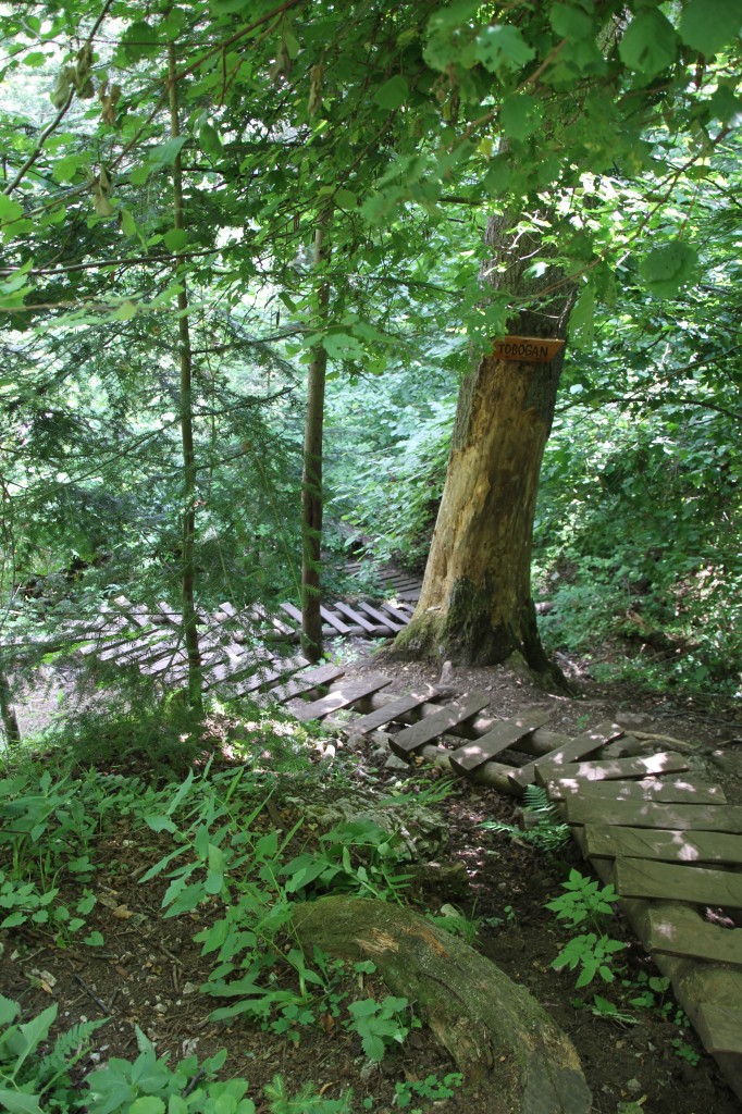 Zdjęcia: SŁOWACKI RAJ , PRESZÓW, PRZEŁOM HORNADU , SłOWACJA Zdjęcia: SŁOWACKI RAJ , PRESZÓW, PRZEŁOM HORNADU , SłOWACJA