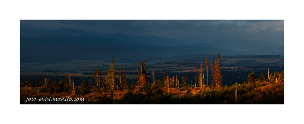 Zdjęcia: Wiatrołomy poniżej Tatrzańskiej Magistrali, Tatry, Wschód, SłOWACJA Zdjęcia: Wiatrołomy poniżej Tatrzańskiej Magistrali, Tatry, Wschód, SłOWACJA