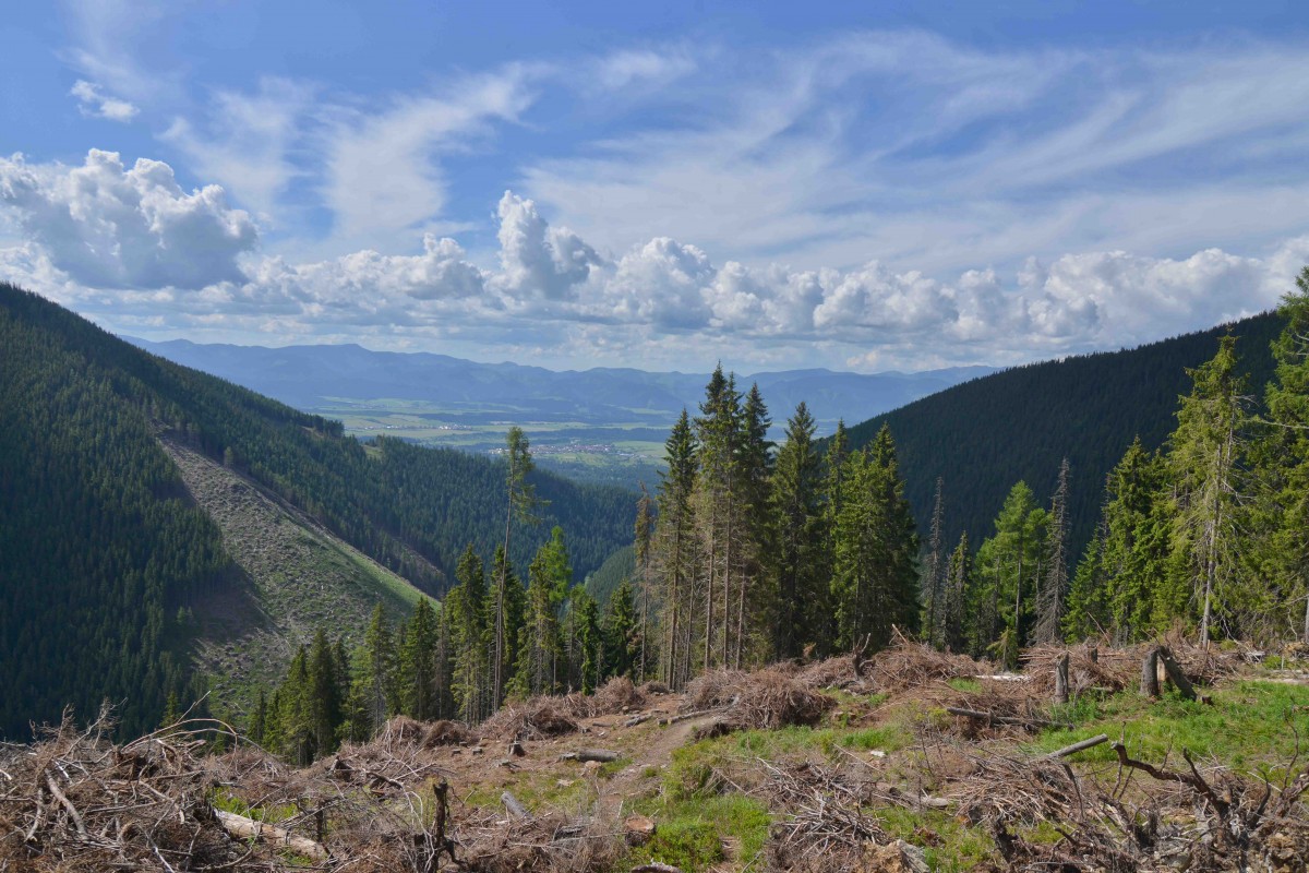 Zdjęcia: Podejście na Ostredok, Tatry Zachodnie, Jest pogoda, jest fun, SłOWACJA Zdjęcia: Podejście na Ostredok, Tatry Zachodnie, Jest pogoda, jest fun, SłOWACJA