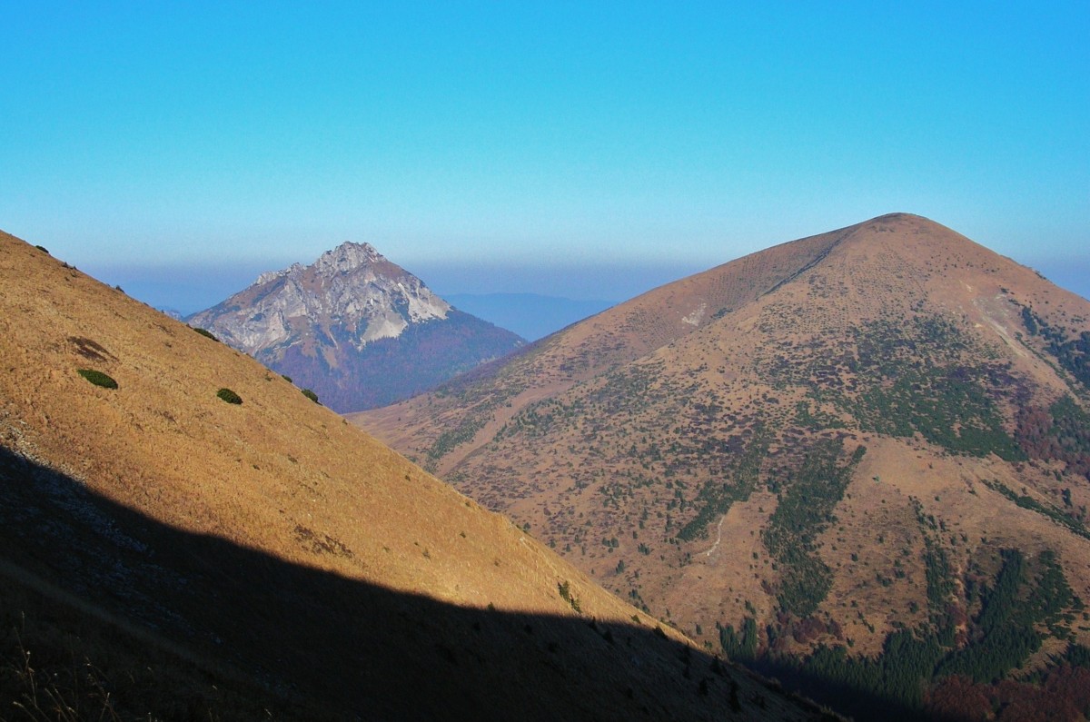 Zdjęcia: Południowy Groń, Mała Fatra, Rozsutec i Stoh , SłOWACJA Zdjęcia: Południowy Groń, Mała Fatra, Rozsutec i Stoh , SłOWACJA
