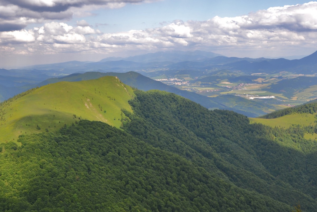 Zdjęcia: zbocza Stoha, Mała Fatra, Osnica 1363, SłOWACJA Zdjęcia: zbocza Stoha, Mała Fatra, Osnica 1363, SłOWACJA