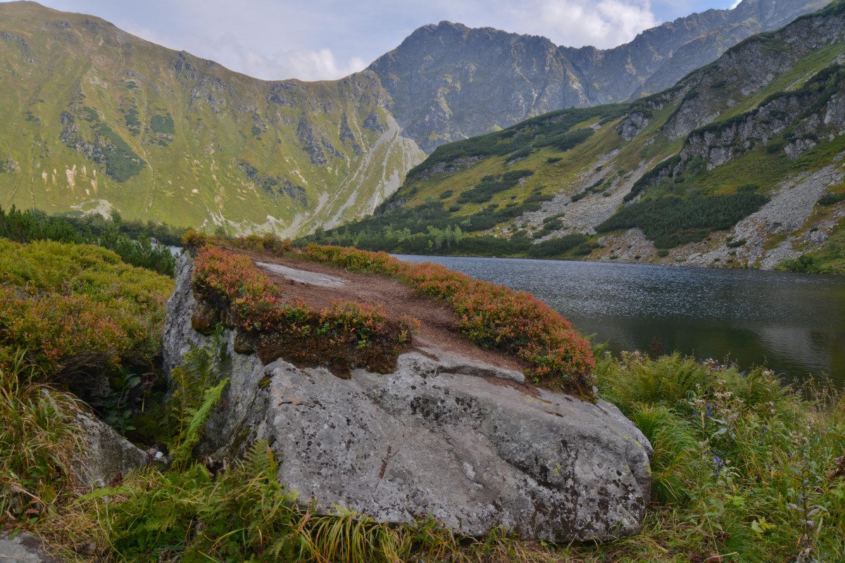 Zdjęcia: Dolina Rohacka, Tatry Zachodnie, Rohackie pleso, SłOWACJA Zdjęcia: Dolina Rohacka, Tatry Zachodnie, Rohackie pleso, SłOWACJA