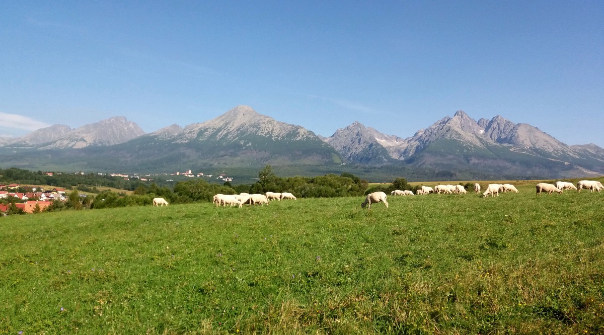 Zdjęcia: Nowa Leśna., Stary Smokowiec., Wysokie Tatry z Nowej Leśnej., SłOWACJA Zdjęcia: Nowa Leśna., Stary Smokowiec., Wysokie Tatry z Nowej Leśnej., SłOWACJA