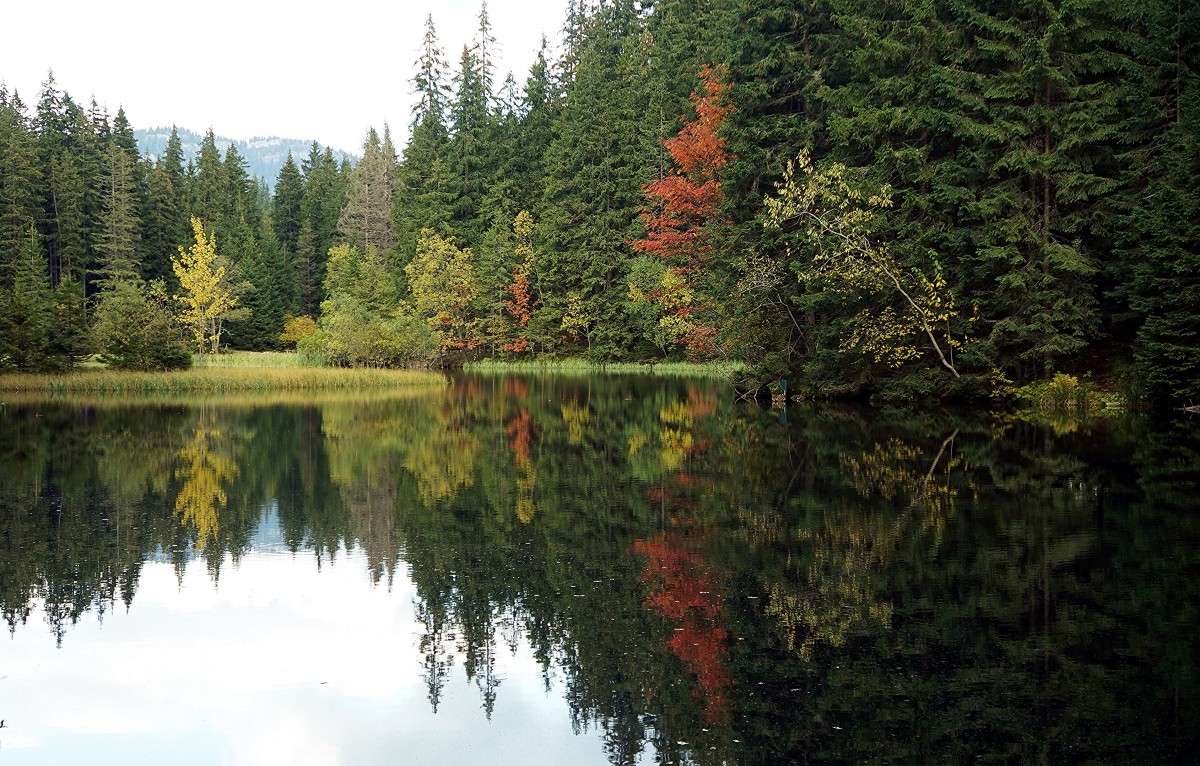 Zdjęcia: Vrbické pleso, Demianowska Dolina, Barwy jesieni, SłOWACJA Zdjęcia: Vrbické pleso, Demianowska Dolina, Barwy jesieni, SłOWACJA