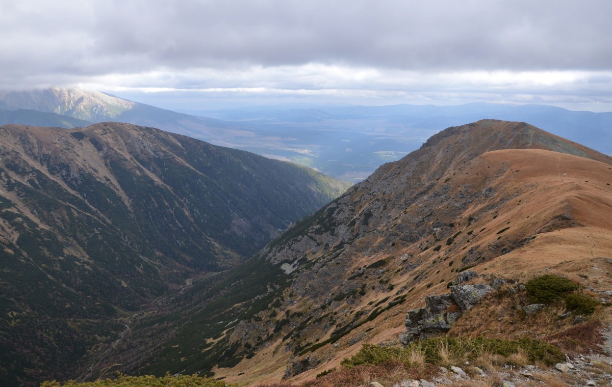 Zdjęcia: Bystra 2248, Tatry Zachodnie, Ponad Kamienistą II, SłOWACJA Zdjęcia: Bystra 2248, Tatry Zachodnie, Ponad Kamienistą II, SłOWACJA