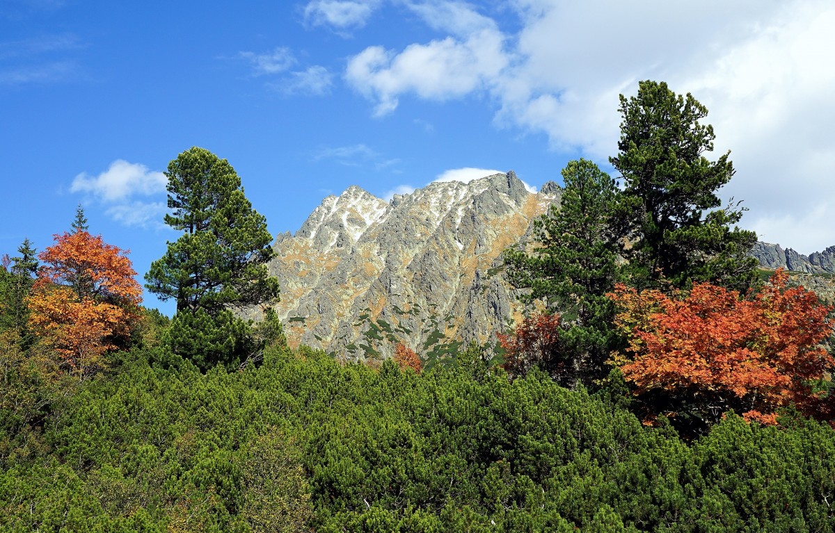 Zdjęcia: Dolina Mięguszowiecka, Tatry Wysokie, Wspomnienia ze szlaku, SłOWACJA Zdjęcia: Dolina Mięguszowiecka, Tatry Wysokie, Wspomnienia ze szlaku, SłOWACJA