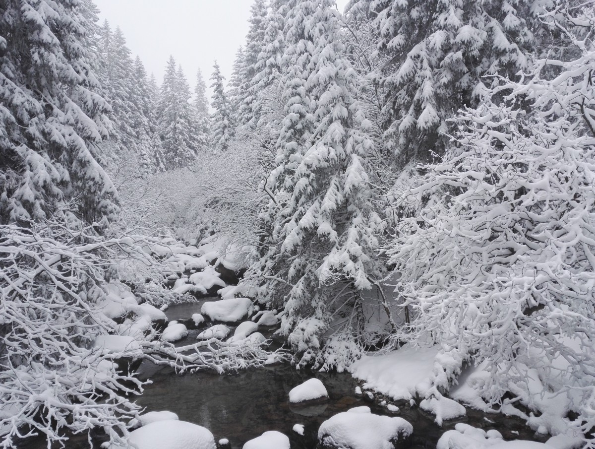 Zdjęcia: ., Dolina Kiezmarska, Tatry Wysokie, SłOWACJA Zdjęcia: ., Dolina Kiezmarska, Tatry Wysokie, SłOWACJA