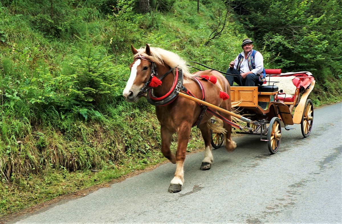 Zdjęcia: Czerwony Klasztor, Pieniny, Wi¶ta wio..., SłOWACJA Zdjęcia: Czerwony Klasztor, Pieniny, Wi¶ta wio..., SłOWACJA
