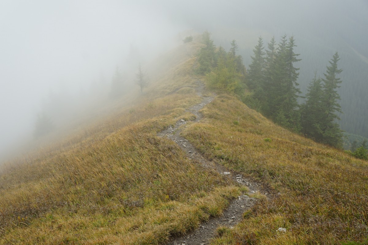 Zdjęcia: Demianowska Dolina , Niżne Tatry, Mgła na Sinej, SłOWACJA Zdjęcia: Demianowska Dolina , Niżne Tatry, Mgła na Sinej, SłOWACJA